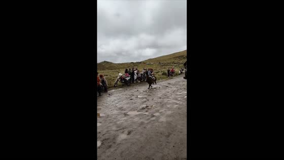 Young girl races on a llama against horses in Quito, Ecuador