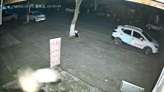 Vehicles and trees shake during earthquake in Hubei, China