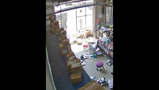 Man shaken as vehicle crashes into delivery trailer outside warehouse in Liaoning, China