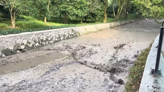 Jiuxi Stream turns muddy after Qiantang River tidal bore in Zhejiang, China