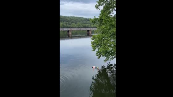 Belly flop daredevil: tree-top plunge in Lynchburg, Virginia