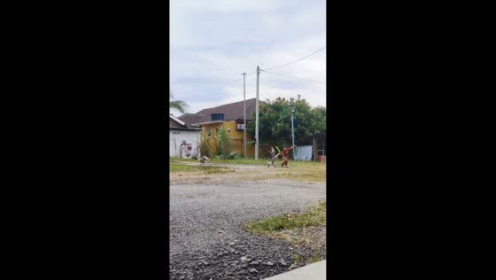 Boy startled as geese chases him in Kajang, Malaysia
