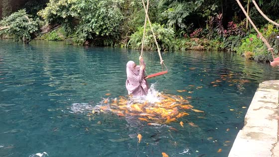 Swing for fail: fish pond photo shoot ends in a splash
