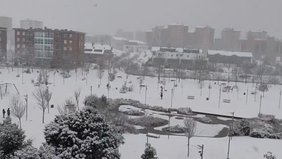 Steady snowfall blankets Vitoria-Gasteiz during Epiphany, Spain