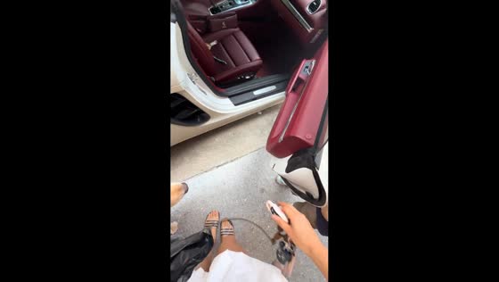 Golden retriever waits for owner before car ride in Guangdong, China