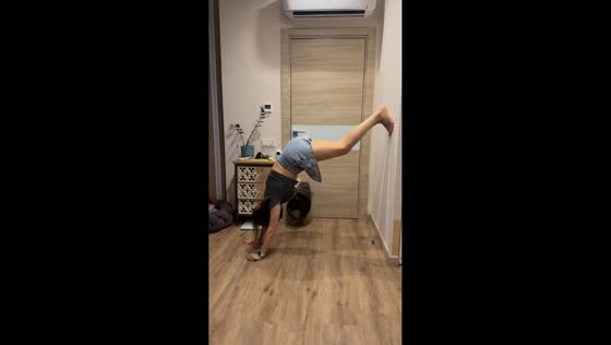 Dog adorably imitates owner’s handstand in Noginsk, Moscow