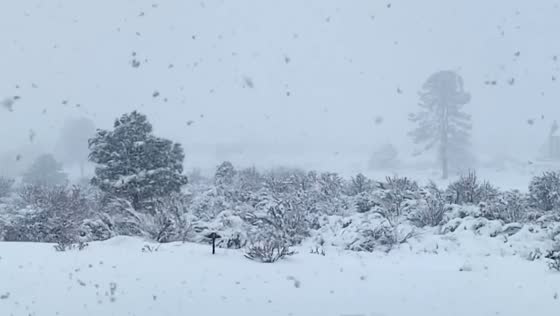 Blizzard strikes: Eastern Sierras in Nevada under heavy snowfall