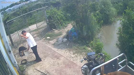 Parked tricycle rolls into swamp in Shanghai, China