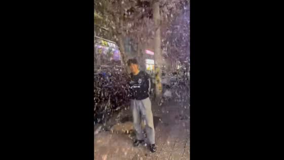 Tree flower shower: Ulsan, South Korea