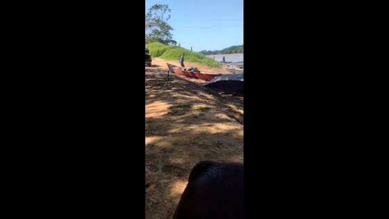 Child falls into boat and overturns as car moves in Marabá, Brazil