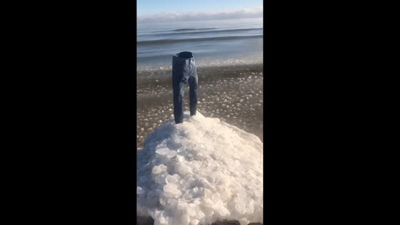 Frozen pants stand upright near the sea in Chicago, USA