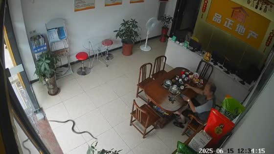 Snake slithers into office, startles man preparing drink in Guangzhou, China