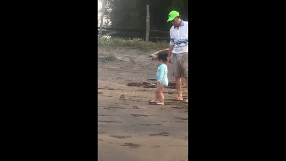 Little girl interacts with crab in Vega de Alatorre, Veracruz, Mexico