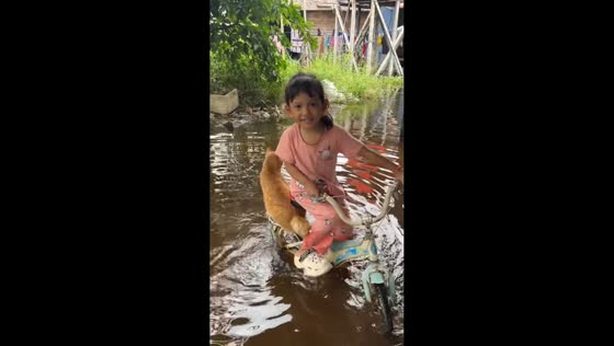 Girl rides through floodwaters with cat in South Kalimantan, Indonesia
