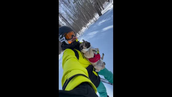 Dog skis alongside owner at Zavjalikha Ski Resort in Chelyabinsk, Russia