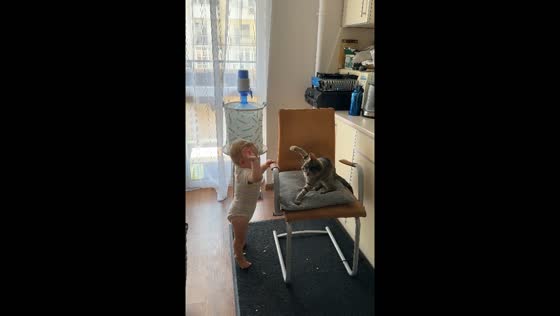 Playful moments between baby and cat