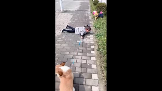 Little girl refuses to let go as dogs pull in opposite directions in Shanghai, China