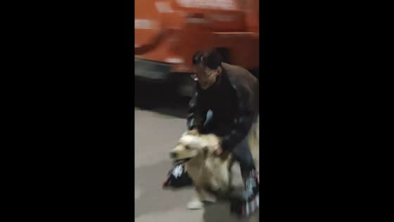 Golden Retriever runs between person’s legs while roller skating in Yunnan, China