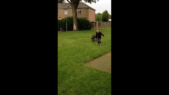 Girl bumps into pole while playing with dog in Wisbech, England, UK