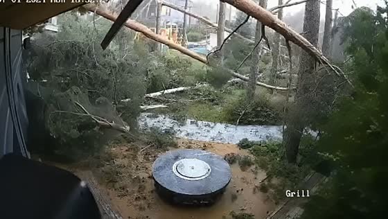 Hurricane hits Okhta-Park: trees down, no injuries reported