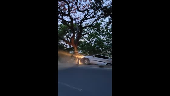 Car collides with tractor in Naini, Prayagraj, India