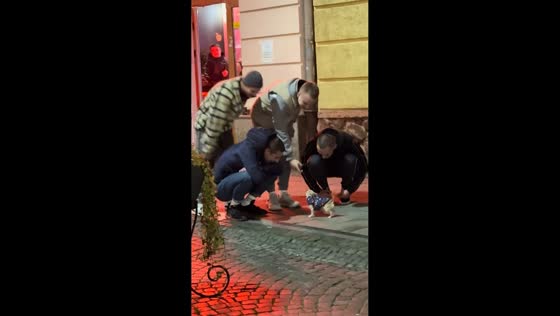 Chihuahua charms pedestrians with playful attitude in Chernivtsi, Ukraine