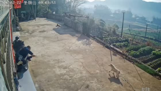 Motorcycle rider loses control and hits man in Beijing, China