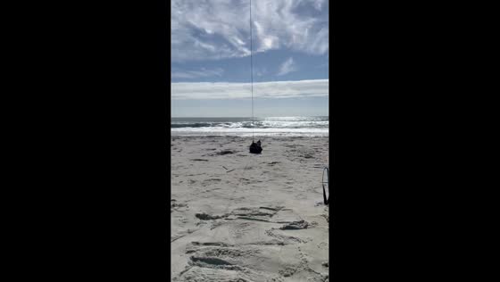 Relaxing seaside moment at Huntington Beach State Park, South Carolina, USA