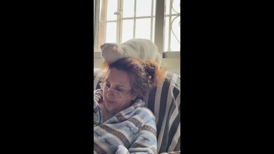 Playful cat rubs against woman’s hair in Seville, Spain