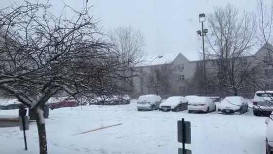 Heavy snow bands blanket the Albany area in New York, USA