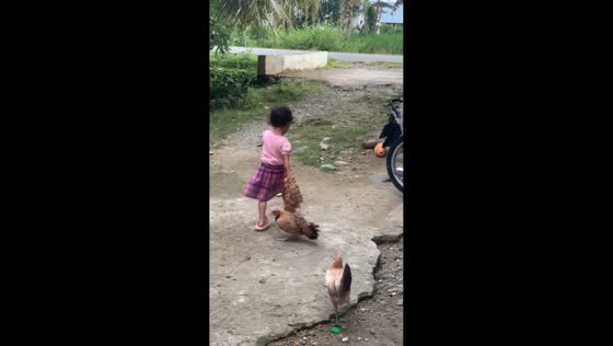 Girl catches a chicken and playfully tours it around in Aceh, Indonesia