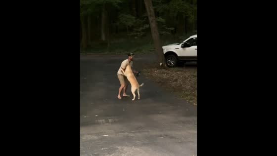 Man and dog reunite with heartfelt embrace in Grand Rapids, Michigan, USA