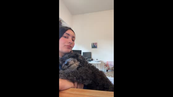 Dog adorably asks for more scratches in Buenos Aires, Argentina