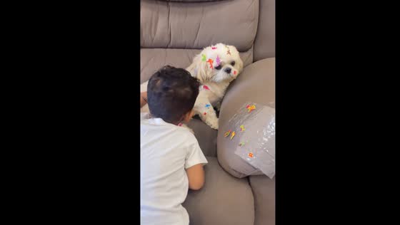 Child's quick bond: dog and sticker fun!
