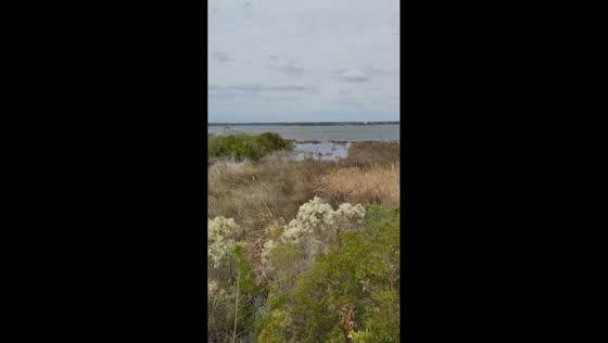 Backyard flooding from high tide in Emerald Isle, North Carolina