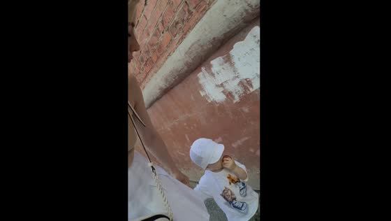 Mom stops toddler from eating apple picked off window during walk