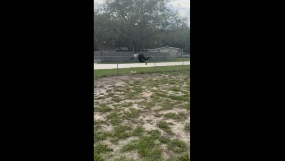 Failed fence jump attempt in Dade City