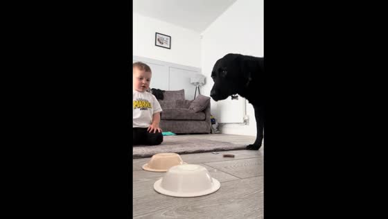 Dog's treat test fail: Buddy's hilarious change of heart!