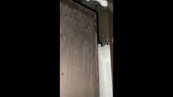 Snowed-in struggle: trapped indoors as winter takes over