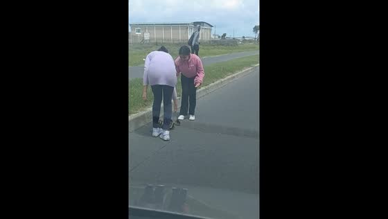 Children help duck family cross road in Cape Town