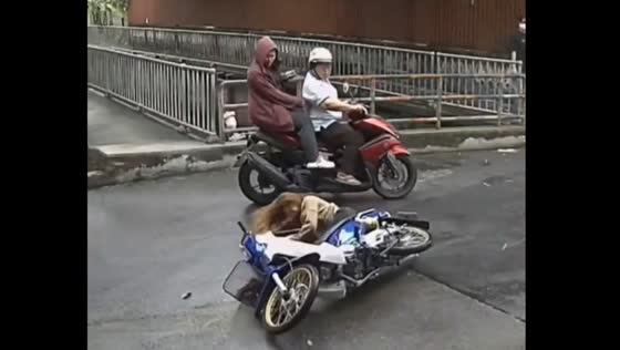 Lady falls from motorcycle in Bangkok and gets help