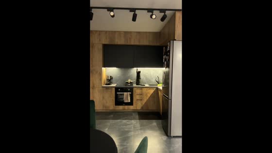 Cat turns kitchen light on and off, owner captures hilarious moment