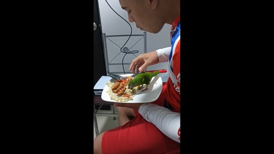 Bird shares dinner with man in Santa Marta, Colombia