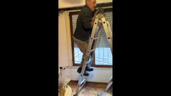 Man pulls dove from ceiling, startles friend in Mar del Plata, Argentina