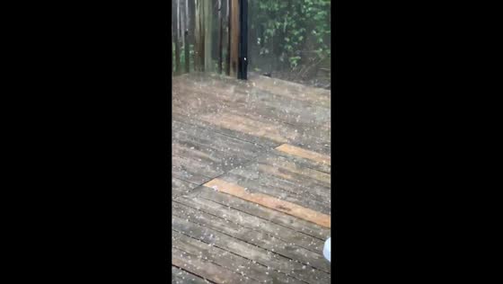 Pea-sized hail blankets patio during storm in Greenbush, Wisconsin, USA