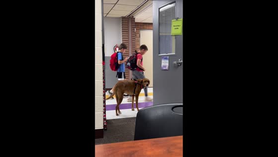 Therapy dog greets children after school in Spencer, Iowa, USA