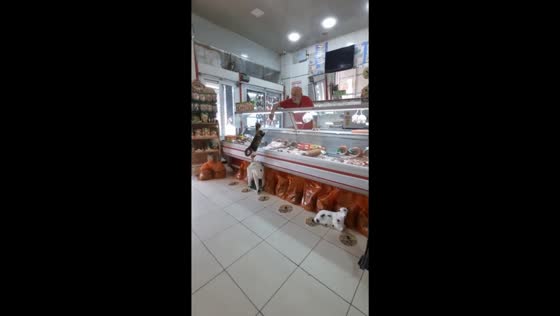 Store employee's daily act of kindness: feeding hungry stray cat in Turgutlu, Manisa