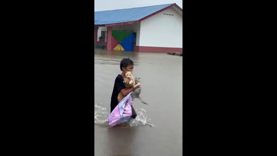  Child carries multiple cats through floodwaters in Setiu, Terengganu, Malaysia