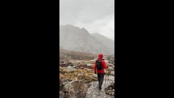 Snow and fog blanket Rocky Mountain National Park during autumn hike in Colorado, USA