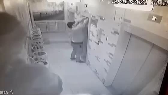Quick-thinking concierge saves dog from strangulation in Moscow elevator